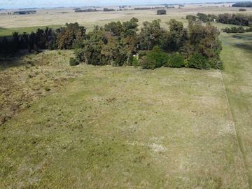 Venta de casa quinta/campo con pileta en Verónica