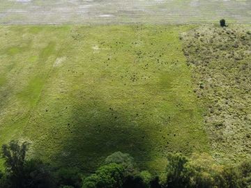 Venta de casa quinta/campo con pileta en Verónica