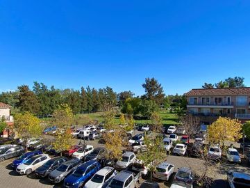 Venta Local Comercial con Renta en Pueblo Caamaño