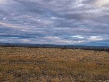 VENTA DE FINCA.  KILOMETRO 49. LUJAN DE CUYO