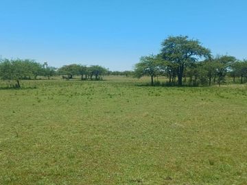 VENTA DE TERRENO DE 10.000m² EN MERCEDES CTES