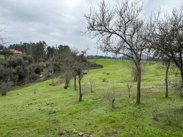 Parcela en venta  en MELIPILLA