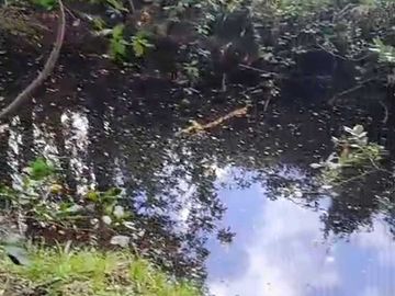 Parcela en venta  en VILLARRICA