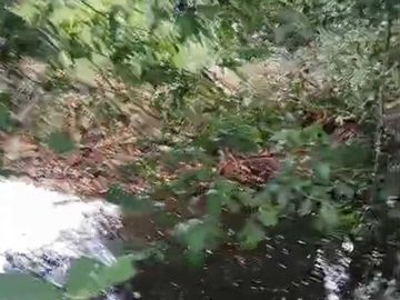 Parcela en venta  en VILLARRICA