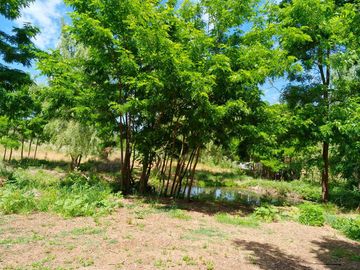 Parcela en venta  en COIHUECO