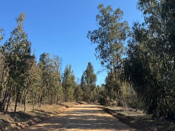 Casa en venta  en QUINTERO