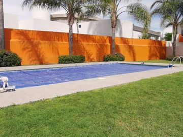 Departamento en Renta en Querétaro, Los Naranjos Juriquilla