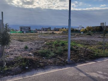 LOTE EN BARRIO LOMAS DE TORREÓN