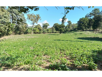 VENTA FINCA CHIRIQUI