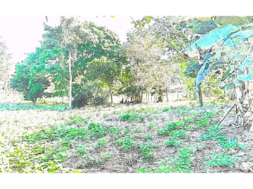 VENTA FINCA CHIRIQUI