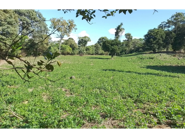 VENTA FINCA CHIRIQUI