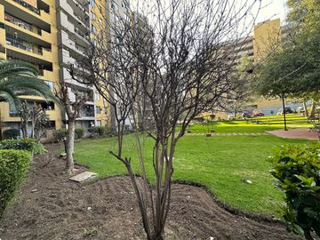 HERMOSO DEPARTAMENTO EN PRIMER PISO, 2D Y 2B