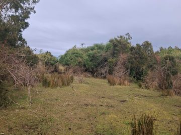 Parcela en venta  en RÍO BUENO