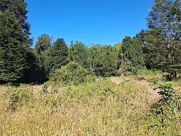 Parcela en venta  en RÍO BUENO