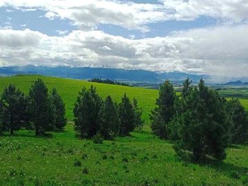 Parcela en venta  en COYHAIQUE