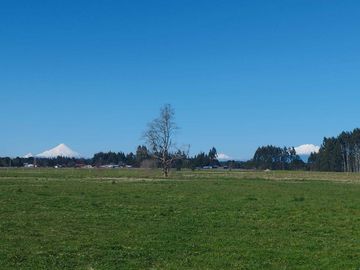 Parcela en venta  en PUERTO VARAS