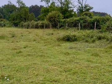 Parcela en venta  en RÍO BUENO