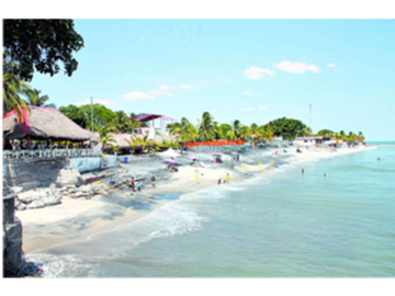 OPORTUNIDAD DE INVERSIÓN – FINCA EN SAN CARLOS