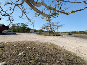 Excelente Terreno comercial e industrial sobre la carretera Mérida-ProgreEso.