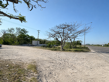Excelente Terreno comercial e industrial sobre la carretera Mérida-ProgreEso.