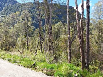 Parcela en venta  en AYSÉN
