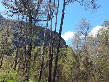 Parcela en venta  en AYSÉN