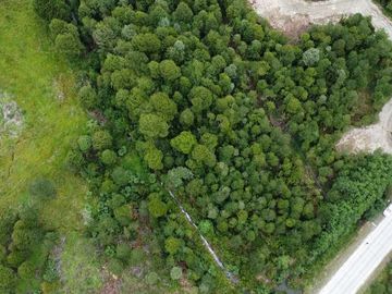 Parcela en venta  en AYSÉN