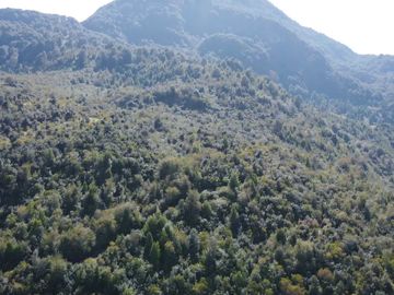Parcela en venta  en AYSÉN