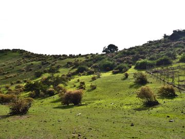 Parcela en venta  en LA REINA
