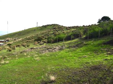 Parcela en venta  en LA REINA