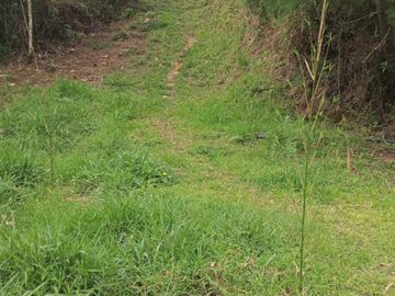 Lote en venta en Guarne