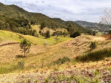 Lote en venta en La Ceja