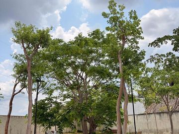 TERRENO EN VENTA EN PRIVADA, AIRA RESIDENCIAL MERIDA EN CHOLUL