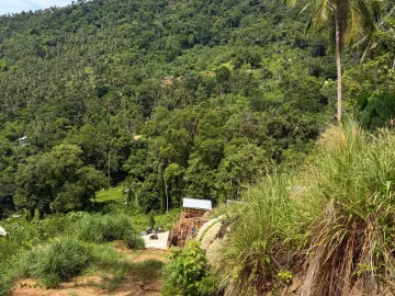 Land for sale in Maret, Surat Thani