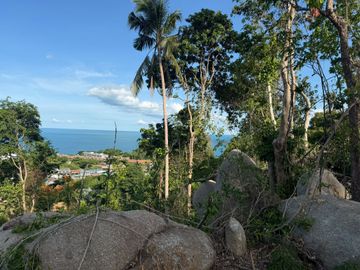 Land for sale in Maret, Surat Thani