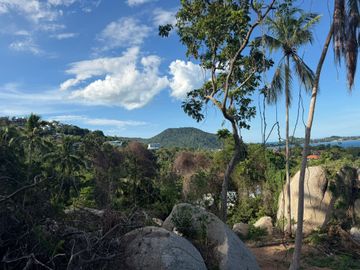 Land for sale in Maret, Surat Thani