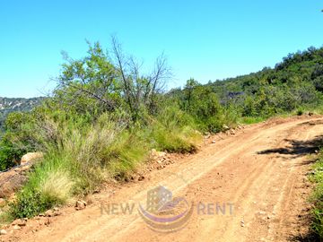 Parcela en venta  en PUENTE ALTO