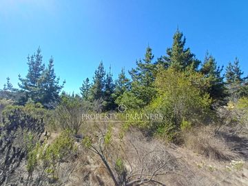 Algarrobo, Hermosas Parcelas en medio de la Naturaleza
