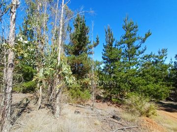 Algarrobo, Hermosas Parcelas en medio de la Naturaleza