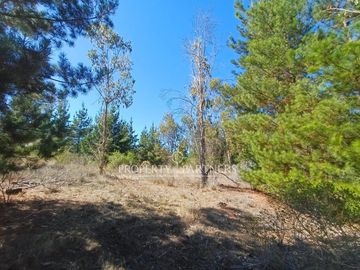 Algarrobo, Hermosas Parcelas en medio de la Naturaleza