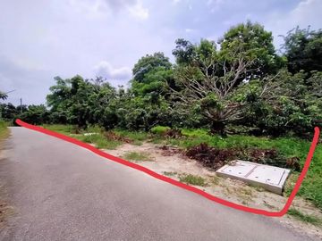 Land for sale in Umong, Lamphun