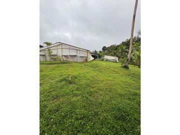 FINCA / COCLE / LA PINTADA / 17 HECTAREAS / FRENTE AL RIO