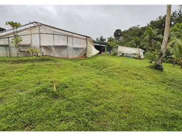 FINCA / COCLE / LA PINTADA / 17 HECTAREAS / FRENTE AL RIO