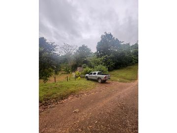 SE VENDE FINCA EN COCLE  LA PINTADA 17 HECTAREAS  FRENTE AL RIO