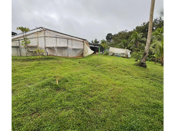 SE VENDE FINCA EN COCLE  LA PINTADA 17 HECTAREAS  FRENTE AL RIO