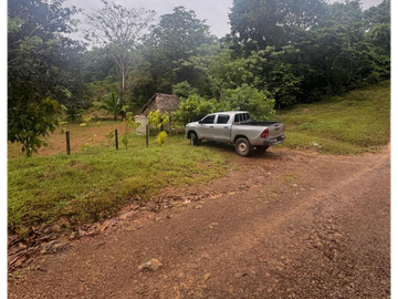 SE VENDE FINCA EN COCLE  LA PINTADA 17 HECTAREAS  FRENTE AL RIO