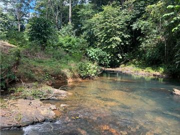 SE VENDE FINCA EN COCLE  LA PINTADA 17 HECTAREAS  FRENTE AL RIO