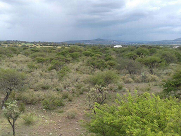 Venta Terreno Macrolote Querétaro Tequisquiapan