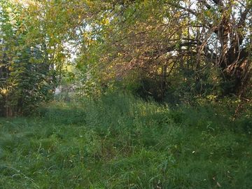 VENTA LOTE 2250 M2  PILAR