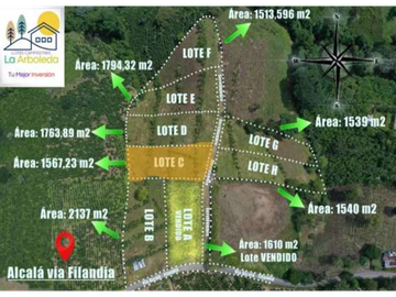 LOTE VIA  ALCALA-FILANDIA
